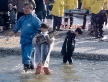 Shimoda Salmon Catch