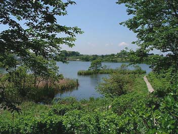 Statue of Liberty Park Pond